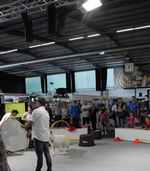 Coralie beim Reifen durch springen